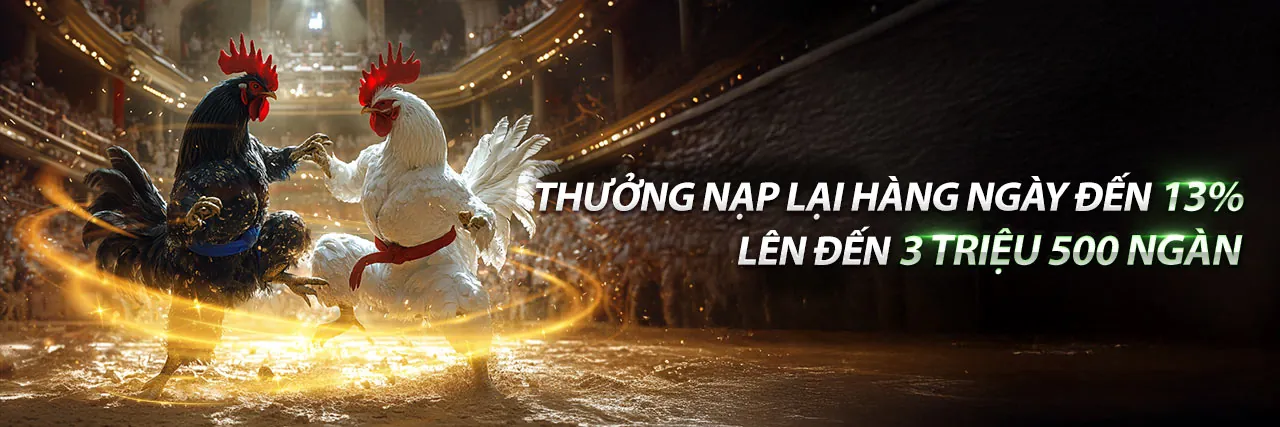 Đá Gà nn88 nhà cái - Sân đấu trực tuyến sôi động